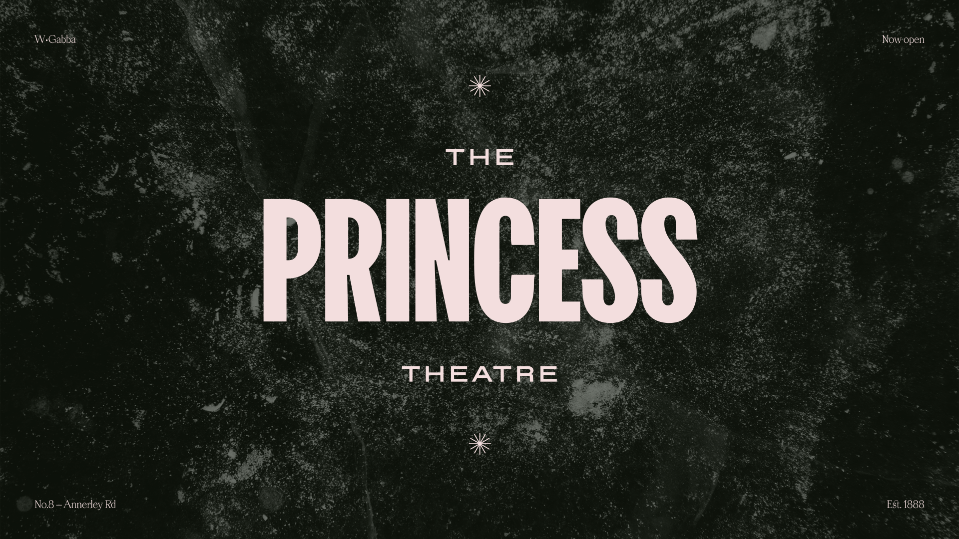 Typographic logo for The Princess brand identity